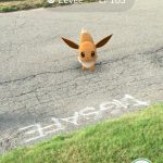 Pokemon Virtual Reality