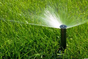 o-HOW-TO-WATER-LAWN-facebook