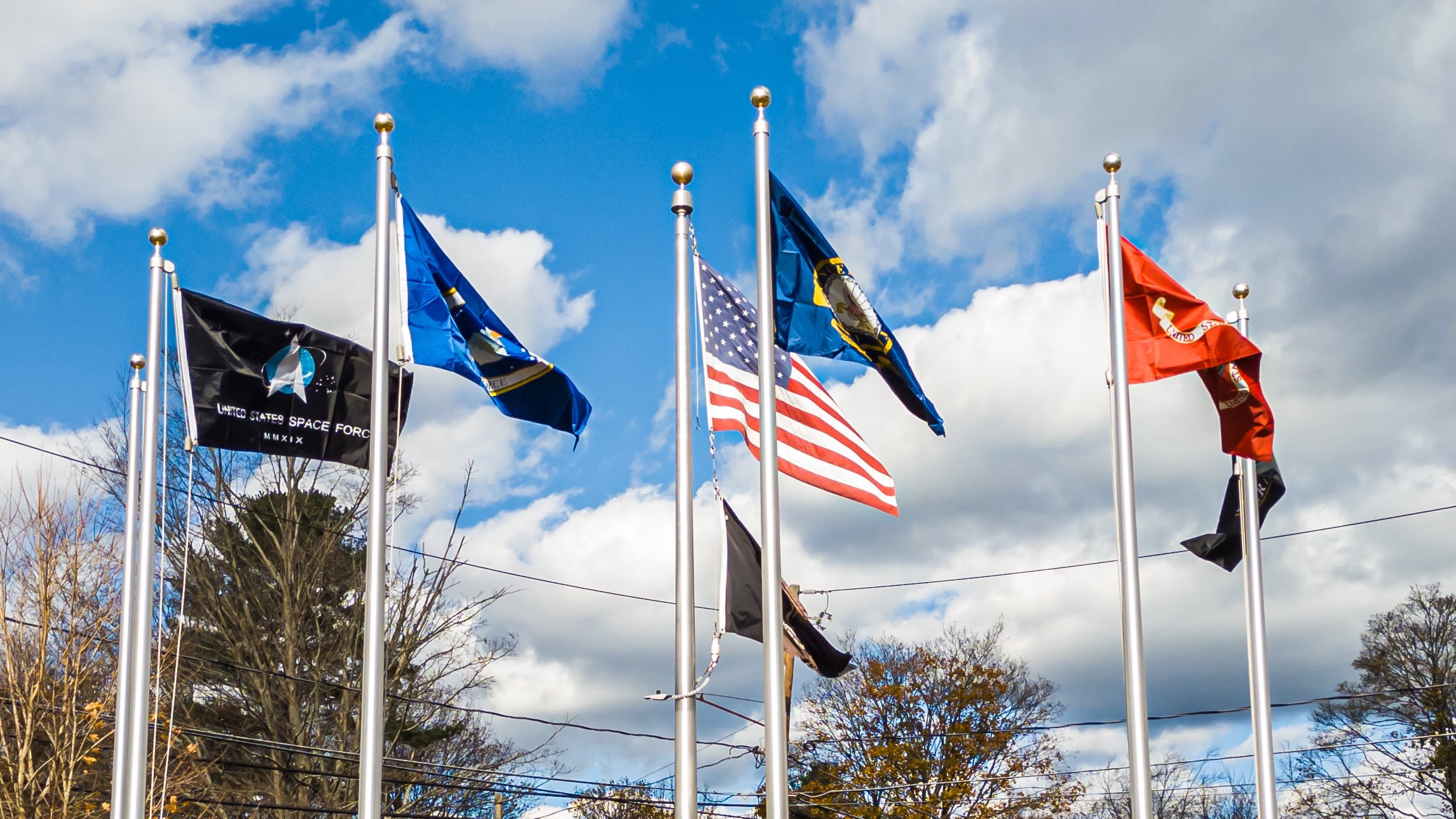 Veterans Day 2024 Photos and Video The Reading Post